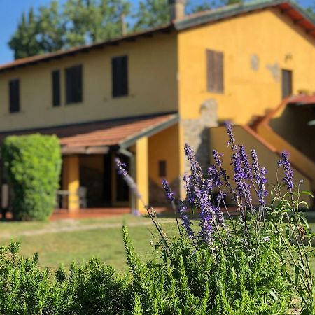 Agriturismo Santa Lorica Sassetta Exterior foto